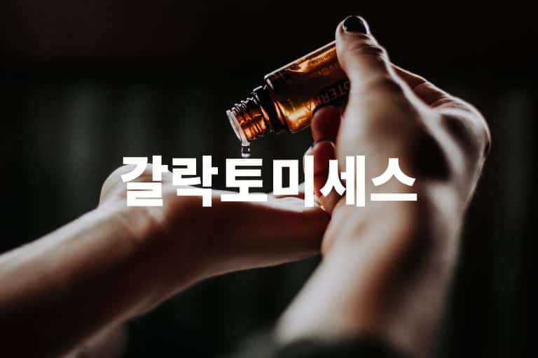 갈 락토 미세스 발효 여과 물 효능