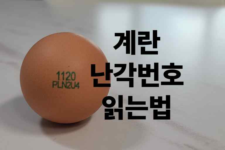 계란 난각번호 읽는법, 10자리 숫자의 비밀