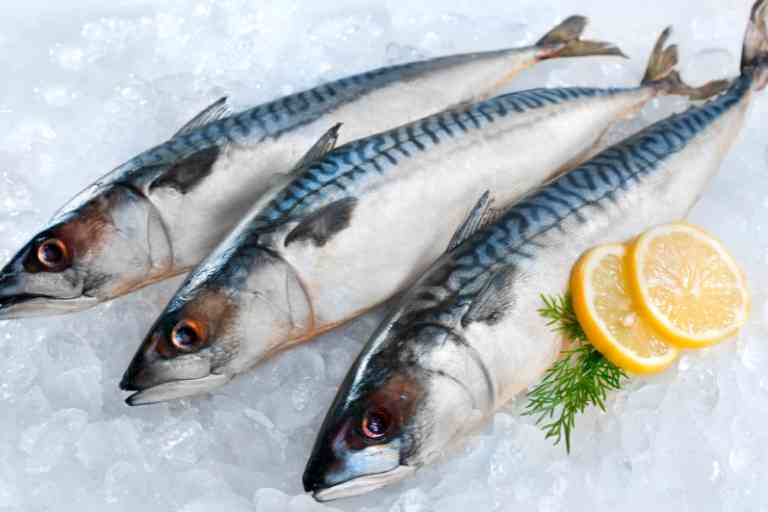 생선 단백질 순위 top 12 효능 섭취법