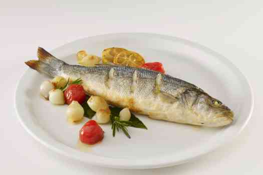 생선 단백질 순위 높은 생선 썸네일