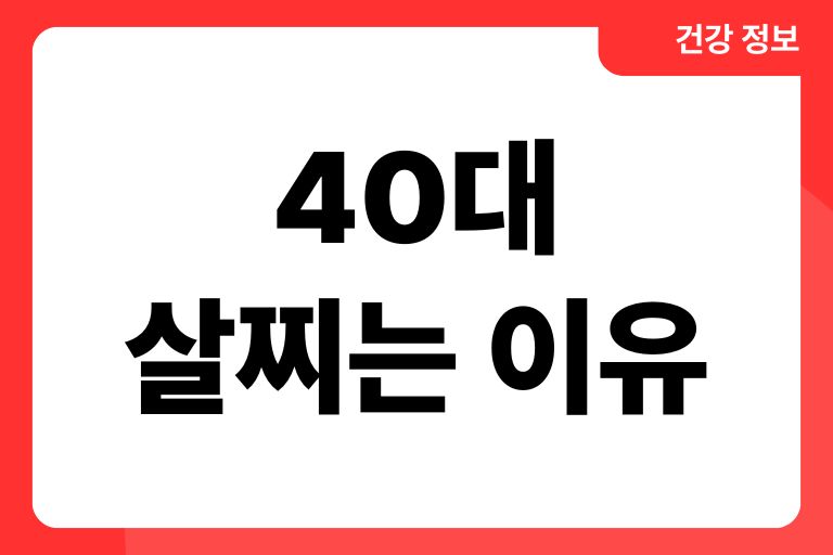 40대 살찌는 이유