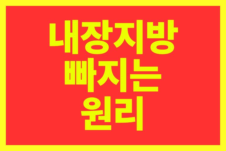 내장지방 빠지는 원리