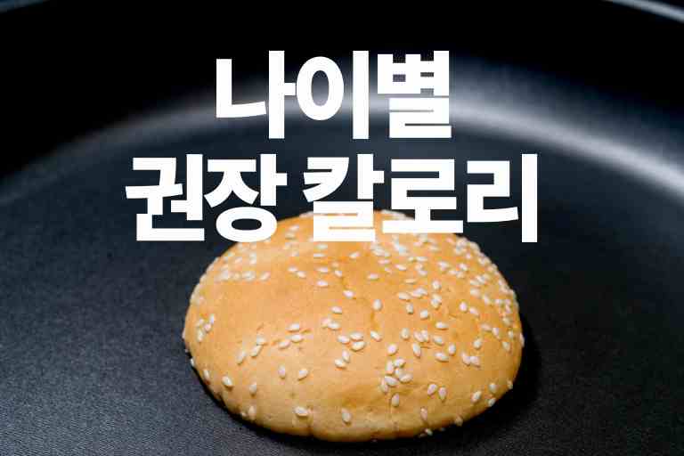 나이별 권장 칼로리