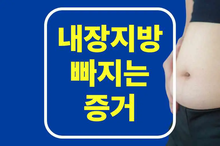 내장지방 빠지는 증거