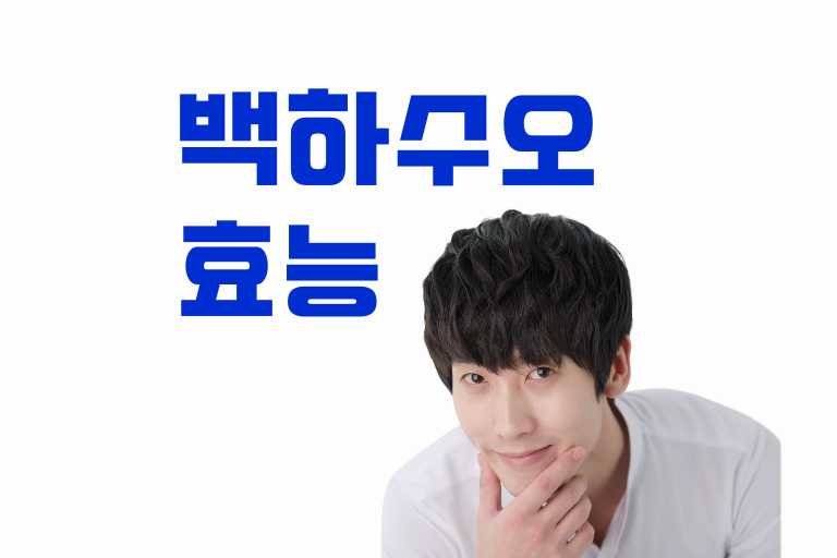 백하수오 효능