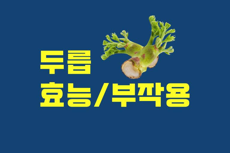 두릅 효능 및 부작용