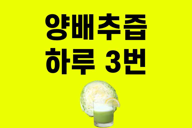양배추즙 하루 3번
