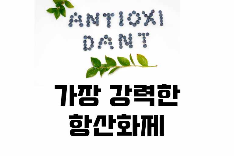 가장 강력한 항산화제