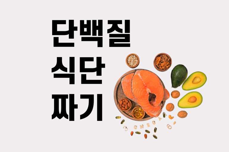 단백질 식단 짜기