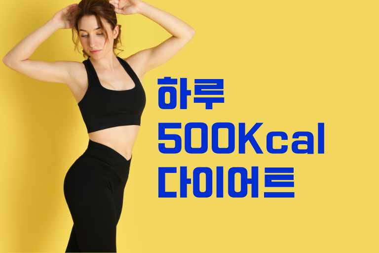 하루 500칼로리 다이어트