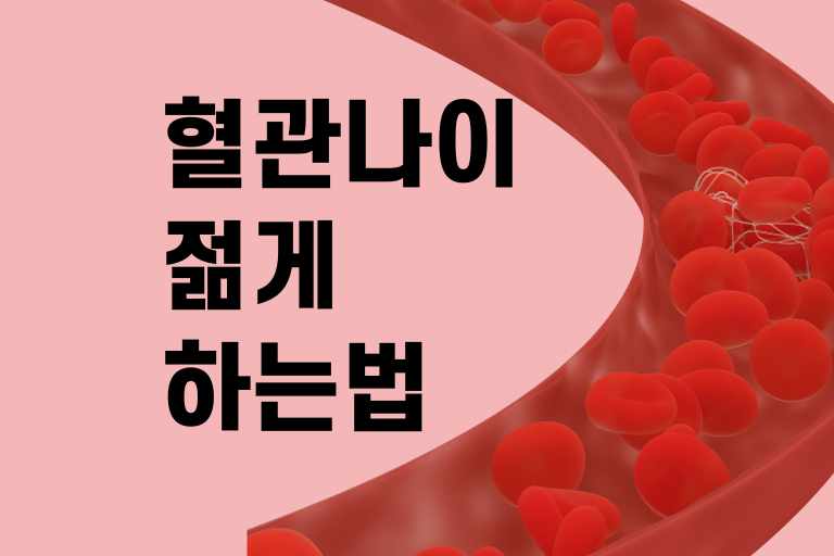 혈관나이 젊게 하는 법
