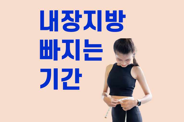 내장지방 빠지는 기간