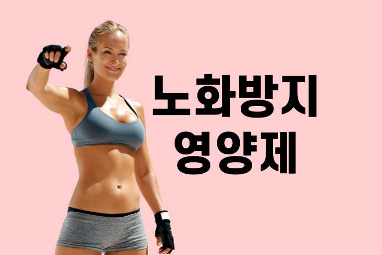 노화방지 영양제