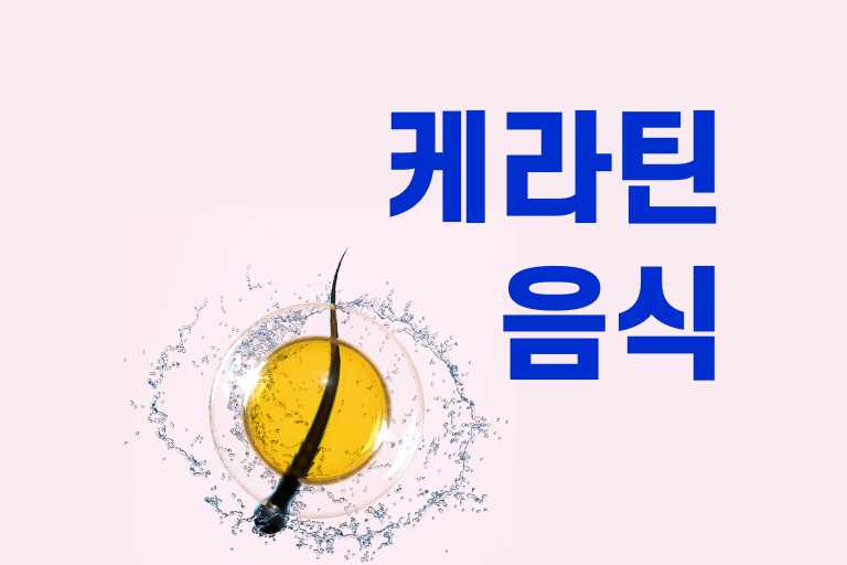 케라틴 음식