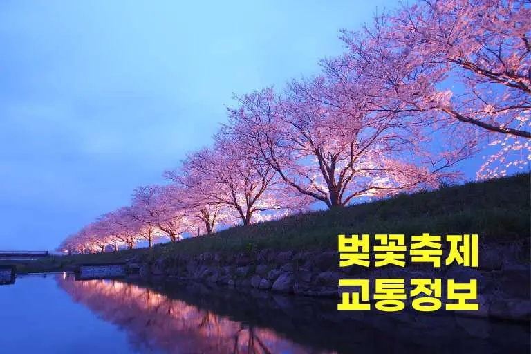 벚꽃축제 교통 정보