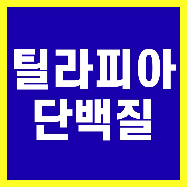 틸라피아 단백질