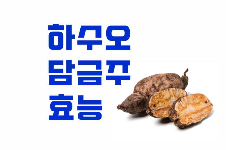 Polygonum multiflorum 하수오 담금주 효능
