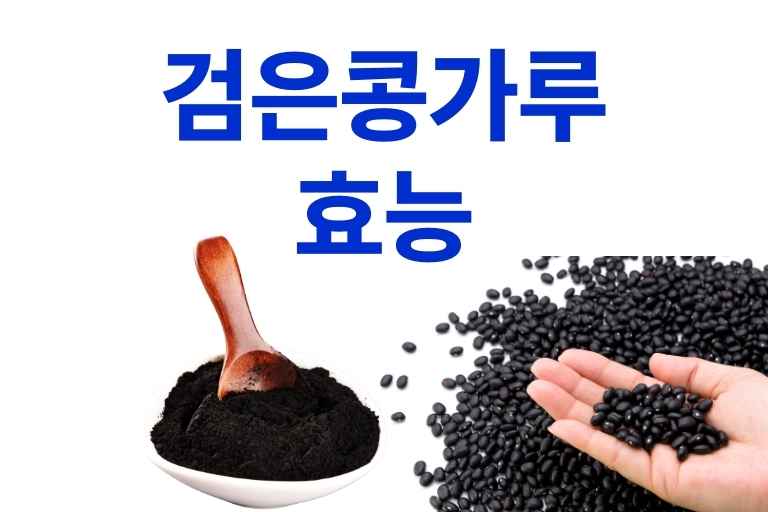 검은 콩가루 효능