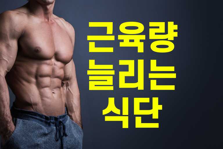 근육량 늘리는 식단
