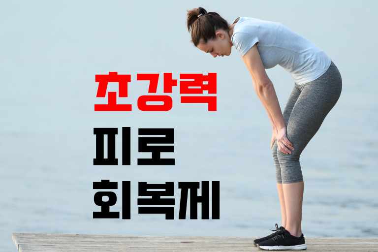 초강력 피로회복제