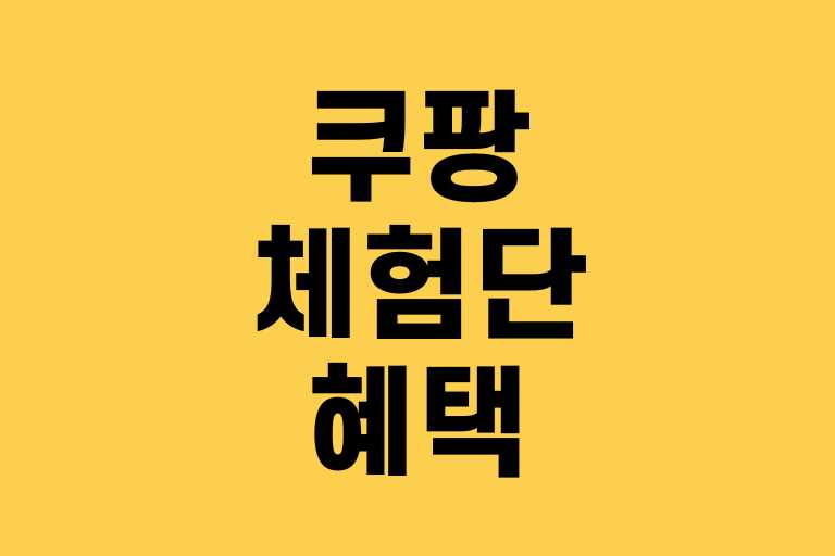 쿠팡 체험단 혜택