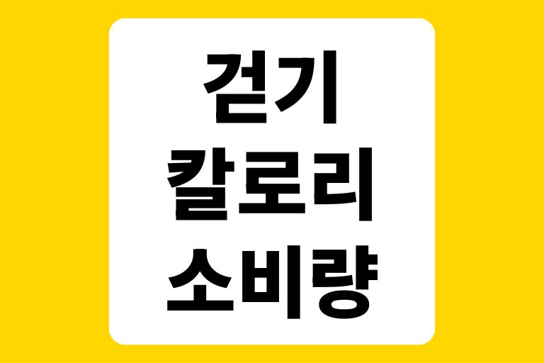 걷기 칼로리 소비량