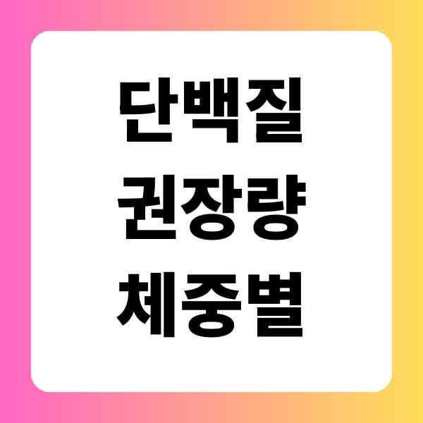 하루 단백질 권장량 체중별