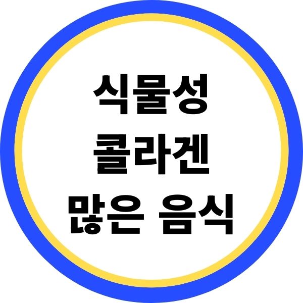 식물성 콜라겐 많은 음식