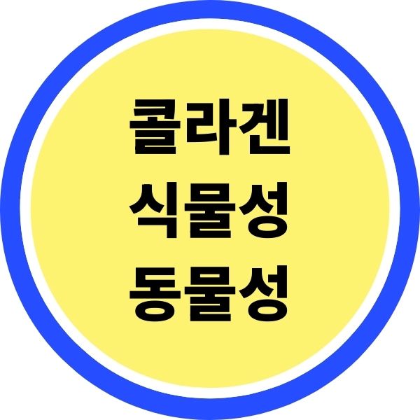콜라겐 식물성 동물성