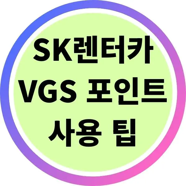 SK렌터카 VGS 포인트 사용 팁